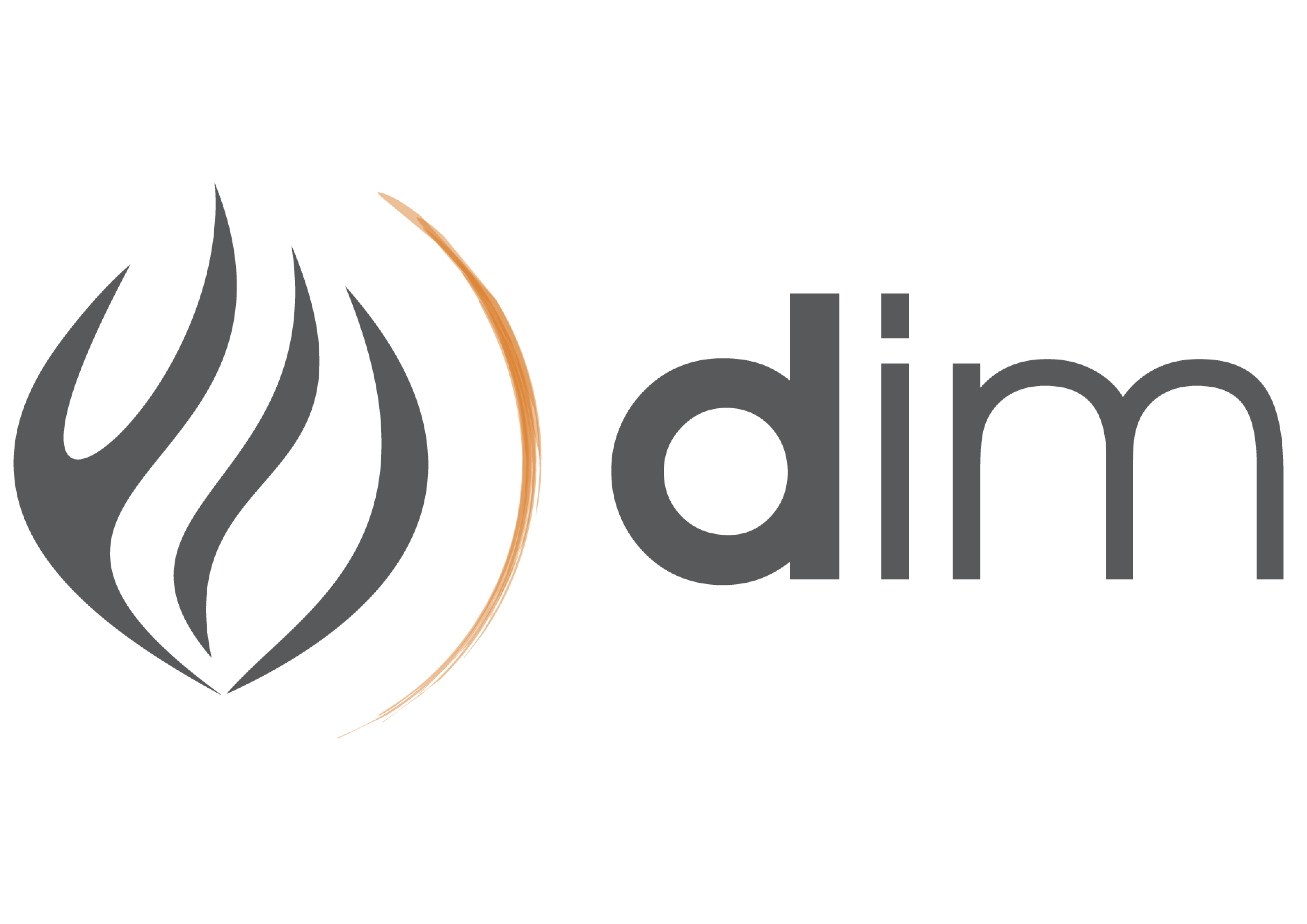 Logo DIM